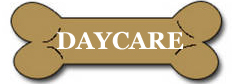 DAYCARE