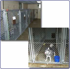 kennels